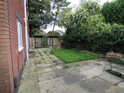 Picture 21